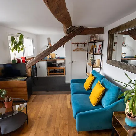 Moderne Artistique Sur Les Toits De Vue Sur Notre-dame Et La Seine Apartment